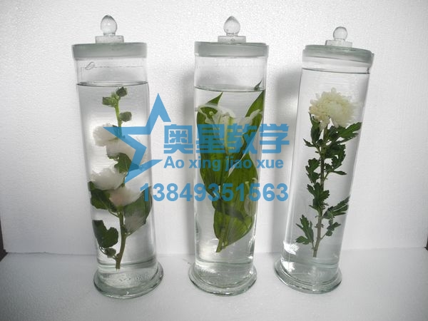  如何清洗生物切片標本的玻片？