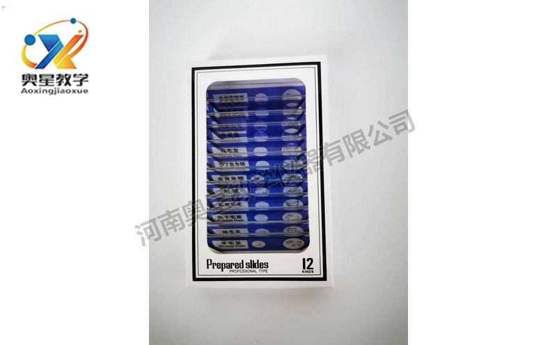 兒童塑料切片