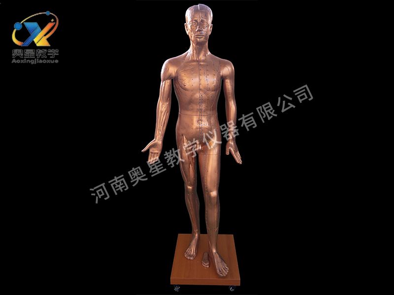 人體針炙銅人