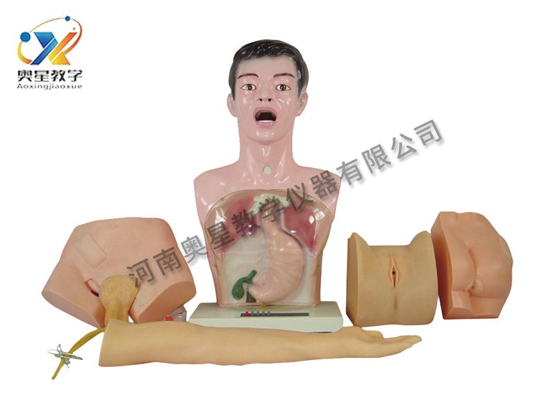 基礎(chǔ)護(hù)理人實(shí)習(xí)模型