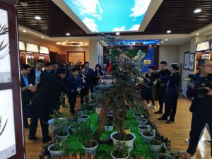 標(biāo)本館對外交流